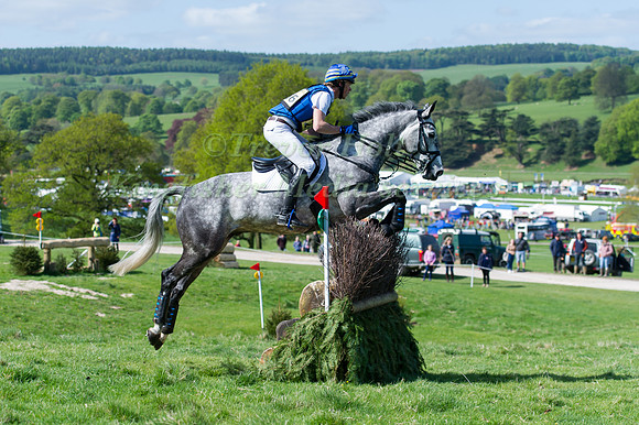 Ludwig  Svennerstal (SWE) riding Silver Skymaster