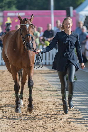 ANNA FRESKGARD (SWE) AND FLY AWAY V D N. RANCH