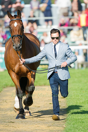 Andrew Nicholson (NZL) riding Avebury taking part in the Show Jumping Phase