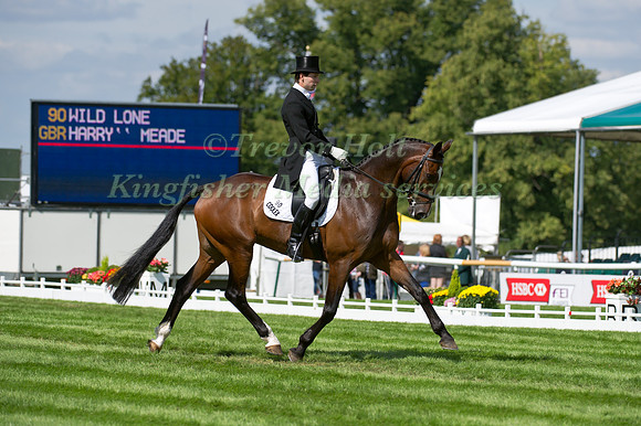 Harry Meade and Wild Lone