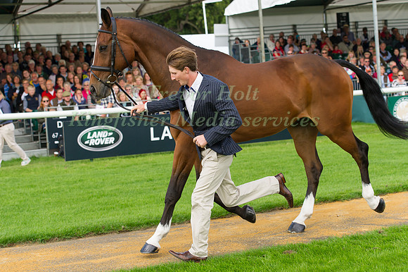 Paul Sims (GBR) and  Glengarnock