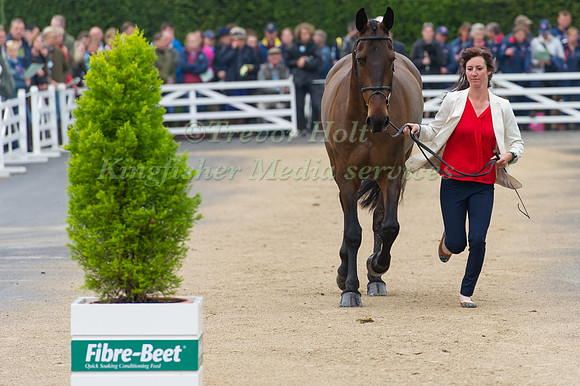 Jennifer  Caras (USA) riding Fernhill Fortitude