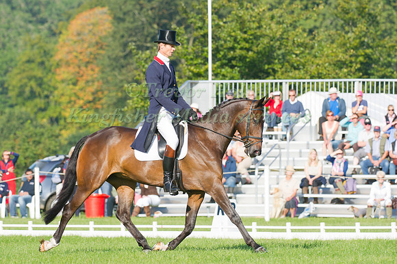 William Fox-Pitt and Bay My Hero