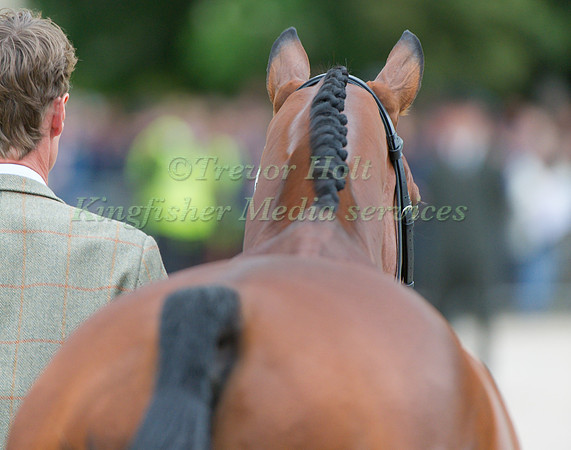 William Fox-Pitt and Cool Mountain