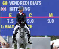 Dressage