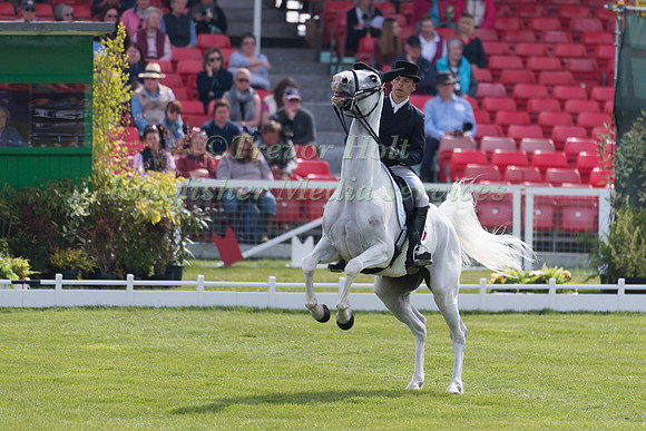 Camille Lejeune of France riding R'du Temps Bliniere