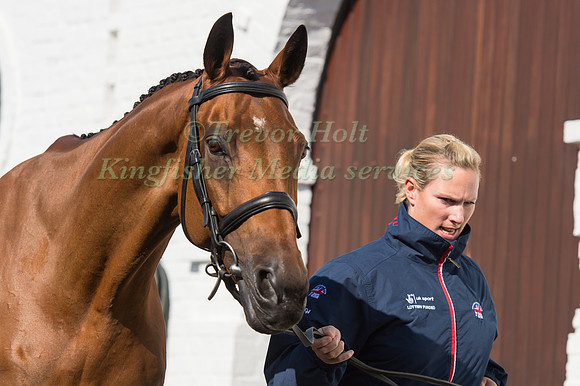 Zara Tindall (GBR) and High Kingdom