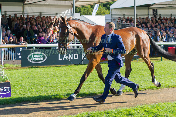 OLIVER TOWNEND (GBR) AND DROMGURRIHY BLUE
