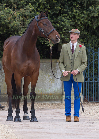 David Britnell (GBR) and  Continuity