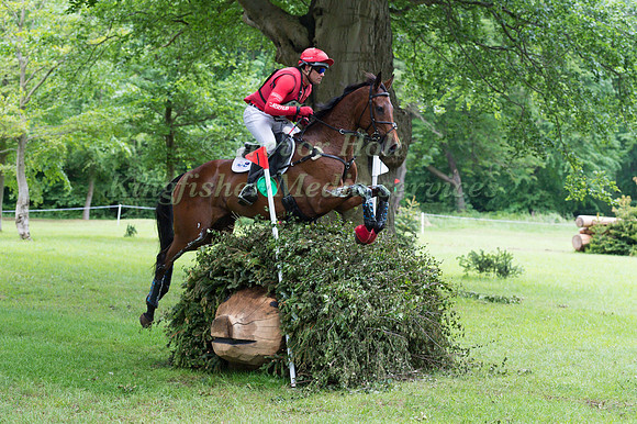 PAUL  TAPNER (AUS) AND COUNTERPARTY TAKING PART IN THE CROSS COUNTRY PHASE OF THE  CIC THREE STAR COMPETITION AT THE 2017 EQUI-TREK BRAMHAM INTERNATIONAL HORSE TRIALS