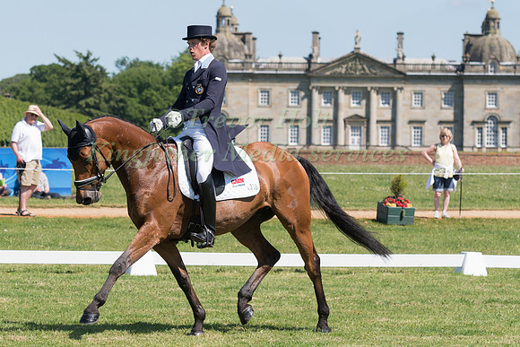 LUDWIG SVENNERSTAL (SWE) RIDING STINGER IN THE DRESSAGE PHASE OF THE CICO THREE STAR AT THE 2017 HOUGHTON INTERNATIONAL HORSE TRIALS