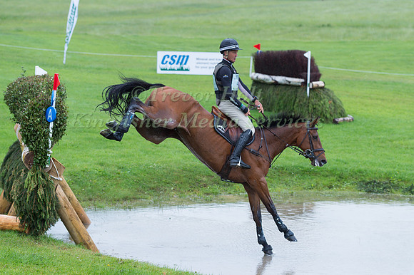ANDREW  NICHOLSON (NZL) AND BYRNESGROVE FIRST DIAMOND TAKING PART IN THE CROSS COUNTRY PHASE OF THE  CCI THREE STAR COMPETITION AT THE 2017 EQUI-TREK BRAMHAM INTERNATIONAL HORSE TRIALS
