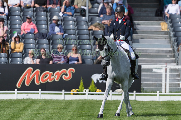 Oliver Townend (GBR) and Swallow Springs