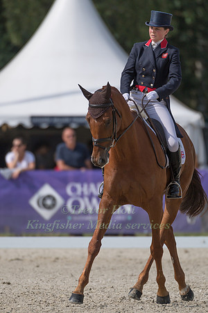 PIGGY FRENCH (GBR) AND QUARRYCREST ECHO