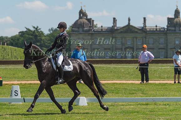 PAUL SIMS (GBR) RIDING CONTIKI TOO IN THE DRESSAGE PHASE OF THE CICO THREE STAR AT THE 2017 HOUGHTON INTERNATIONAL HORSE TRIALS
