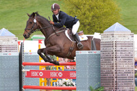Joe Meyer and Sanskrit