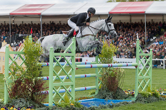 Andrew Nicholson (NZL) and  Swallow Springs