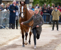 Nicola Wilson (GBR) and One Two Many