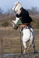 A Guardian competing Cross Country Camargue Style