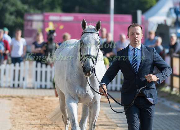 HARRY DZENIS (GBR) AND XAM