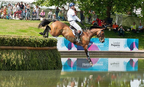 William Fox-Pitt and Gaucho