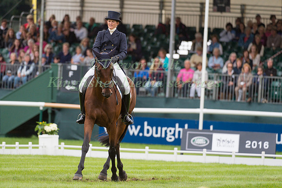 SARAH COHEN (GBR) RIDING TREASON