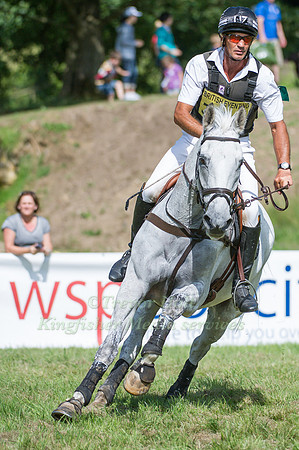 Andrew Nicholson and Avebury
