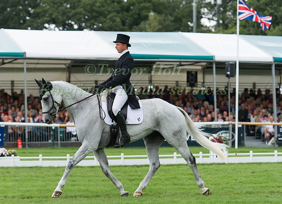 HARRY DZENIS (GBR) RIDING XAM