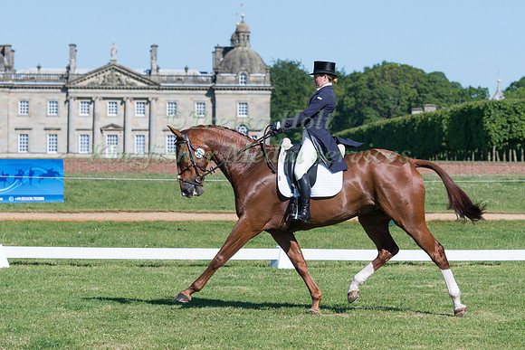 AMY TOUGH (GBR) RIDING COLIMBO NIMBUS IN THE DRESSAGE PHASE OF THE CICO THREE STAR AT THE 2017 HOUGHTON INTERNATIONAL HORSE TRIALS