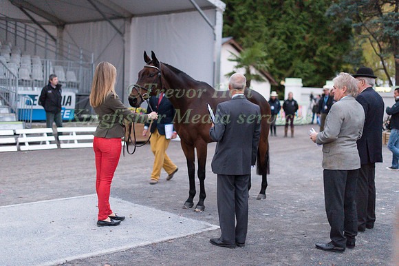 Rebecca Howard of Canada and Riddle Master