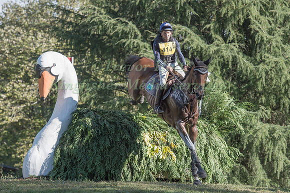 Jean Teulere (FRA) riding Matelot Du Grriding Val