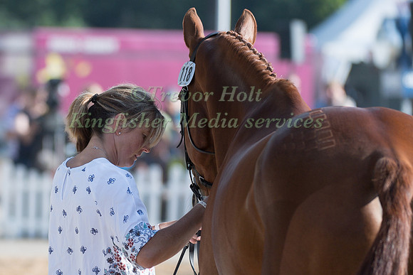 PIGGY FRENCH (GBR) AND QUARRYCREST ECHO