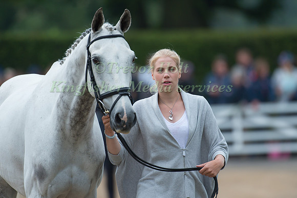 Gina Ruck (GBR) and Rehy Too