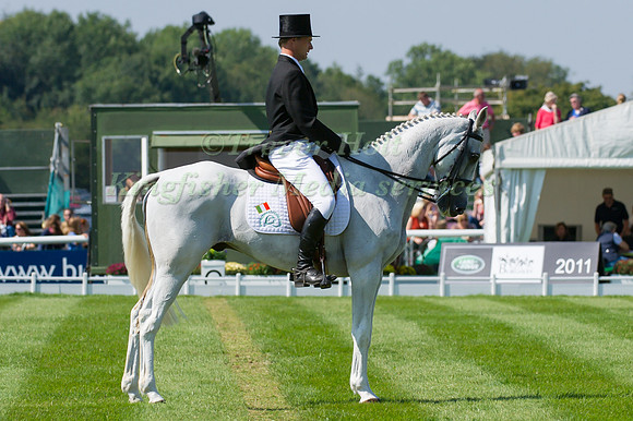 Mark Kyle and Step in Time II