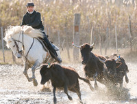 A Guardian competing in the handling test