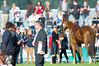 Sam Griffiths (AUS) riding Happy Times taking part in the Show Jumping Phase