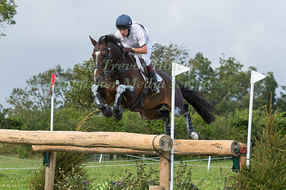 HARRY MEADE RIDING  CAVALIER CRYSTAL