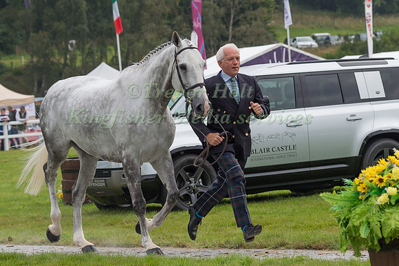 IAN STARK  AND CHATSWORTH DIAMOND