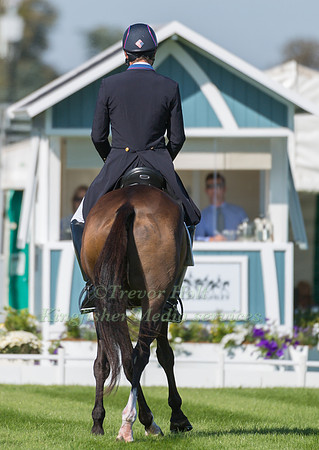 Boyd  Martin (USA) and Steady Eddie