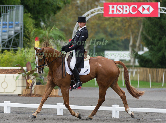 Andrew Nichlson and Nereo