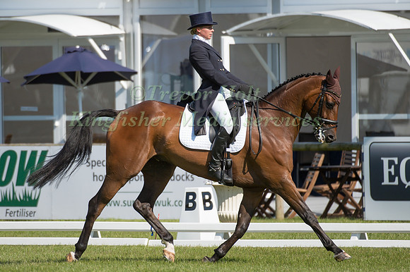 Georgie Strang (GBR) riding Cooley Business Time