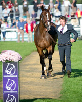 Sarah Bullimore (GBR) riding Reve Du Rouet taking part in the Show Jumping Phase
