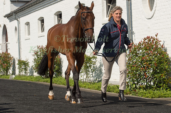 Kristina Cook (GBR) and Calvino II at the Horse inspection of the CICO Aachen 2016