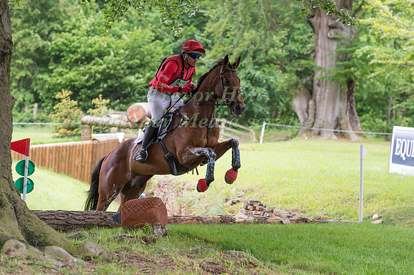 PAUL  TAPNER (AUS) AND COUNTERPARTY TAKING PART IN THE CROSS COUNTRY PHASE OF THE  CIC THREE STAR COMPETITION AT THE 2017 EQUI-TREK BRAMHAM INTERNATIONAL HORSE TRIALS