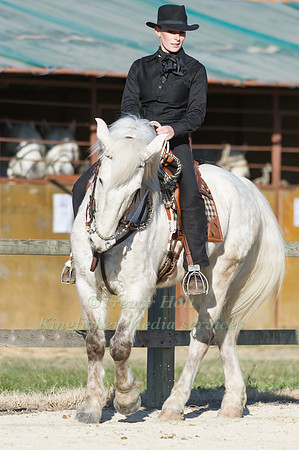 Horse and rider taking part in the dressage test at the Camagri