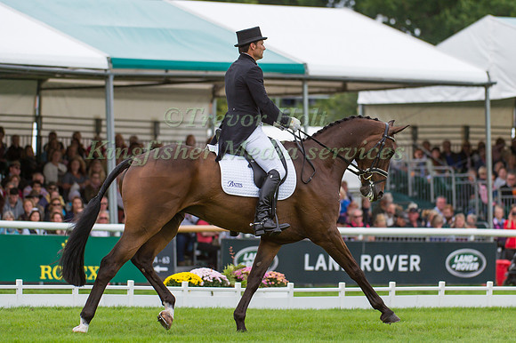 SHANE  ROSE (AUS) RIDING VIRGIL