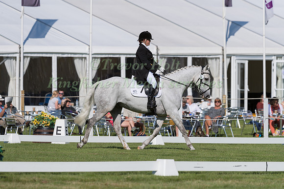 ANNETTE DICK  AND BRUNDEAN ZORRO