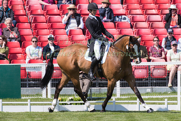 Paul Sims of Great Britain  riding Glengarnock