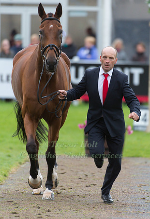 Joris Vanspringel of Belgium with Lully Des Aulnes