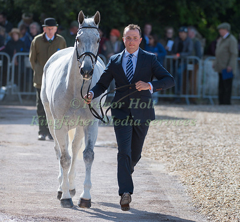 HARRY DZENIS (GBR) AND  XAM